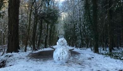 Hillsborough Forest Snowman