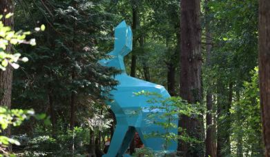 Side view of Peep the Hare through trees in Hillsborough Forest Park