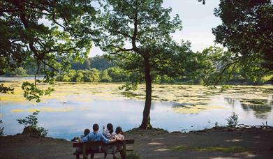 Family on a bench looking over the lake at Hillsborough Forest