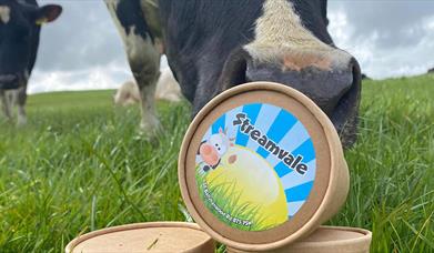 Image shows cartons of ice-cream with a cow in a field nudging one of the cartons