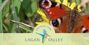 Logo for Lagan Valley Regional Park with butterfly and vegetation behind it