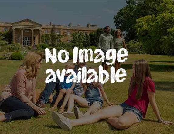 St. Patrick's Family Fun Day St. Patrick's Family Fun Day